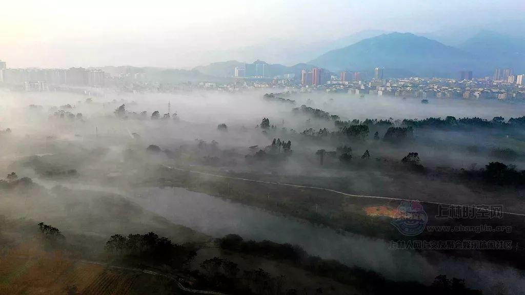 小艾比当营养师