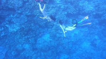 子弹风暴