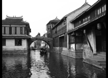 动物帮帮忙保卫家园